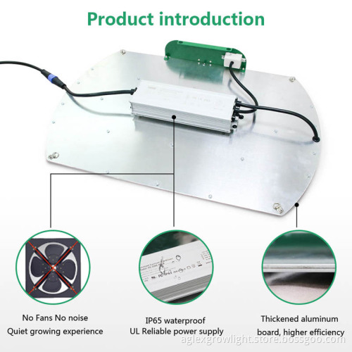 Full Spectrum LED Grow Lights for Vegetables